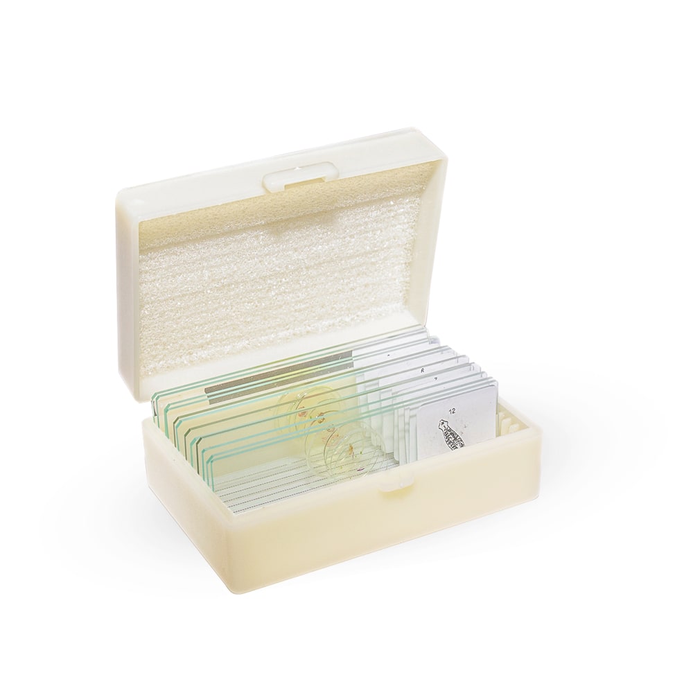 TheSTEMKids SciSlides Slide Kit, Tiny Animals Edition