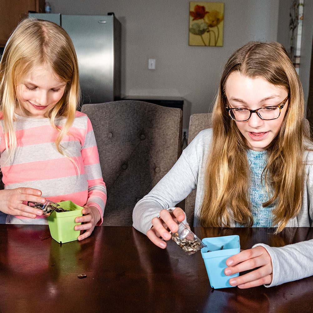 The STEMKids PlantExplo Exploration Kit, Plant Edition